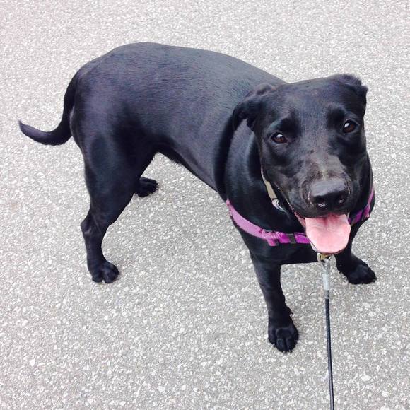 Meet your Posher, Mel - Picture 1 of 1